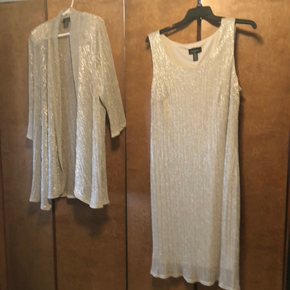 Beautiful Silver Sparkle Dress